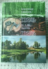 Жизнь как жизнь - Семенов Александр
