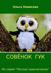Совёнок Гук - Новикова Ольга Ильинична