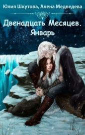 Двенадцать месяцев. Январь - Шкутова Юлия