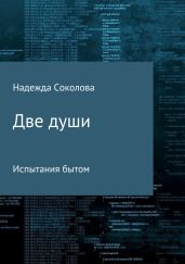 Две души. Испытания бытом - Соколова Надежда Игоревна