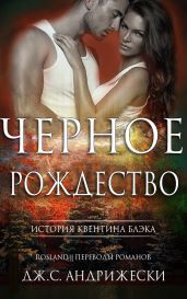 Чёрное Рождество - Андрижески Дж. С.