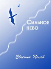Сильное небо - Попов Евгений