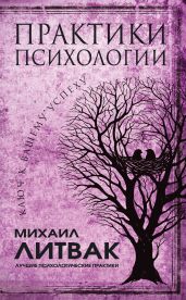 Практики психологии. Ключ к вашему успеху - Литвак Михаил Ефимович