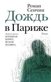 Дождь в Париже - Сенчин Роман Валерьевич