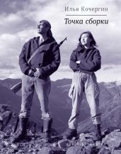Точка сборки (сборник) - Кочергин Илья Николаевич