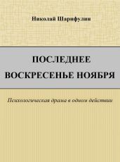 Последнее воскресенье ноября - Шарифулин Николай Григорьевич