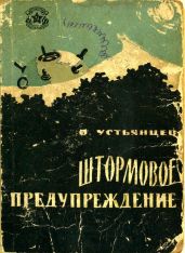 Штормовое предупреждение(Рассказы) - Устьянцев Виктор Александрович