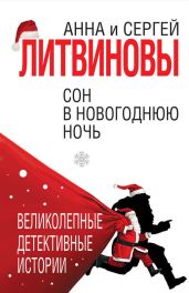 Сон в новогоднюю ночь (сборник) - Литвиновы Анна и Сергей