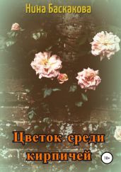 Цветок среди кирпичей - Баскакова Нина