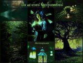 За пеленой воображений - Жестокрылая
