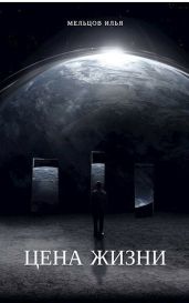 Цена жизни - Мельцов Илья Николаевич