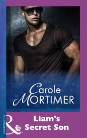 Liam's Secret Son - Mortimer Carole