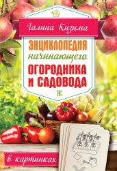 Энциклопедия начинающего огородника и садовода в картинках - Кизима Галина Александровна