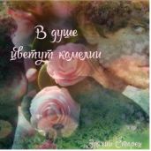 В душе цветут камелии - Зрячий Старец