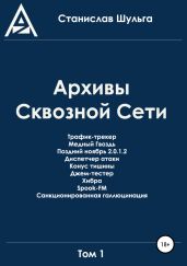 Архивы Сквозной Сети. Том 1 - Шульга Станислав