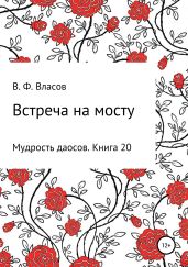 Встреча на мосту - Власов Владимир Г.