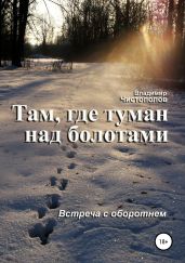 Там, где туман над болотами - Чистополов Владимир