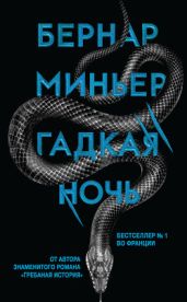 Гадкая ночь - Миньер Бернар