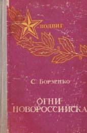 Огни Новороссийска(Повести, рассказы, очерки) - Борзенко Сергей Александрович