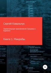 Удивительные приключения Грошика и Буржика - Ковальчук Сергей Васильевич