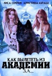Как вылететь из Академии за... - Юраш Кристина, Лиса Софья