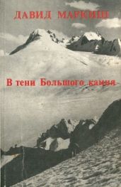 В тени Большого камня(Роман) - Маркиш Давид Перецович