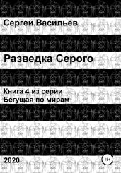 Разведка Серого - Васильев Сергей