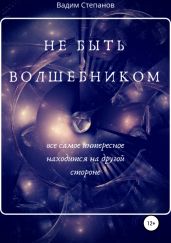 Не быть волшебником - Степанов Вадим