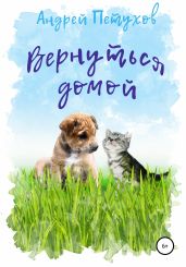 Вернуться домой - Петухов Андрей Владимирович