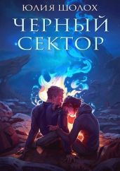 Чёрный сектор - Шолох Юлия