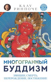 Многогранный буддизм. Том VI. Эмоции, смерть, перерождение, постижение - Ринпоче Калу