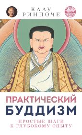 Практический буддизм. Том V. Простые шаги к глубокому опыту - Ринпоче Калу