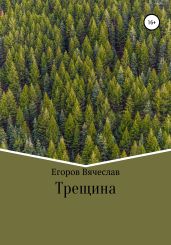Трещина - Егоров Вячеслав