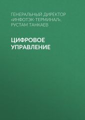 Цифровое управление - РУСТАМ ТАНКАЕВ, ГЕНЕРАЛЬНЫЙ ДИРЕКТОР АО «ИНФОТЭК-ТЕРМИНАЛ»
