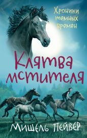 Клятва мстителя - Пейвер Мишель