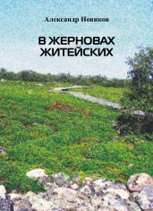 В жерновах житейских - Новиков Александр Александрович