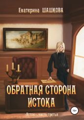 Обратная сторона Истока - Шашкова Екатерина Владимировна