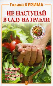 Не наступай в саду на грабли - Кизима Галина Александровна