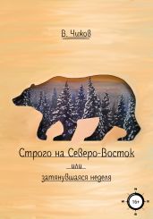 Строго на Северо-Восток - Чижов Василий
