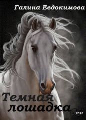 Тёмная лошадка - Евдокимова Галина