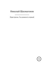 Перестрелка. Год девяносто первый - Шахмагонов Николай