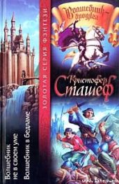 Волшебник в Бедламе - Сташеф Кристофер Зухер
