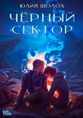 Чёрный сектор. Книга 1 - Шолох Юлия
