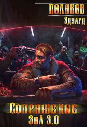 Сопряжение. ЗИЛ 3.0 - Поляков Эдуард Павлович