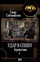 Удар в спину - Сейтимбетов Самат Айдосович