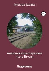 Амазонки нашего времени. Часть Вторая - Бурлаков Александр