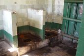 Иногда они действительно возвращаются. Часть 22 - Кириллов Альберт