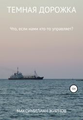 Темная дорожка - Жирнов Максимилиан Борисович