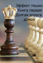 Эффект пешки. Книга первая. Долгая дорога домой - Софроний Валерий Иванович