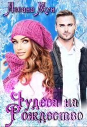 Чудеса на Рождество - Мун Лесана